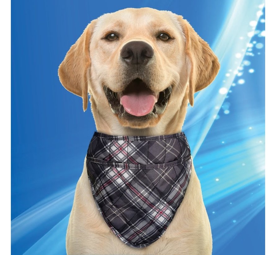 Koelbandana Hond Scottish Grey