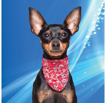 Aqua Coolkeeper Cooling Pet Bandana Red Western