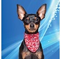 Cooling Pet Bandana Red Western