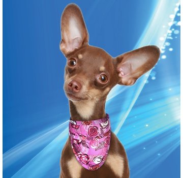 Aqua Coolkeeper Cooling Pet Bandana Roses