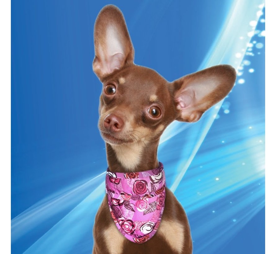 Koelbandana Hond Roses