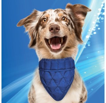 Aqua Coolkeeper Cooling Pet Bandana Pacific Blue