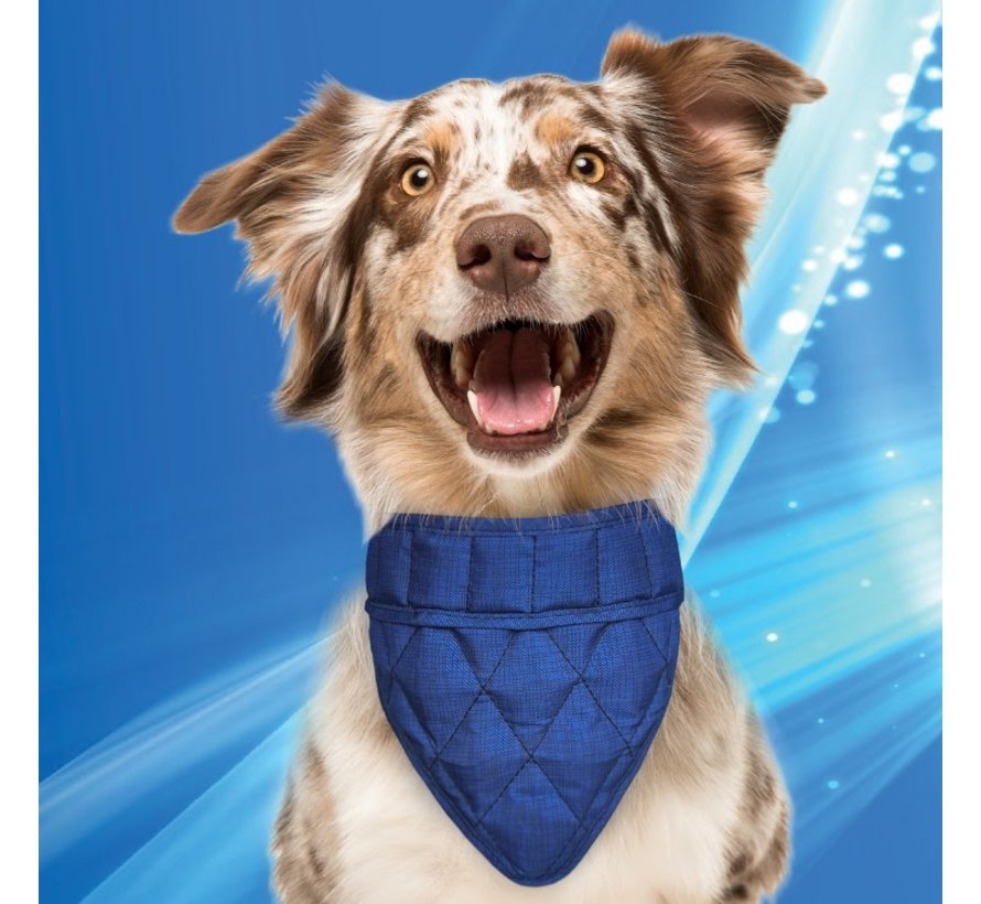 Koelbandana Hond Pacific Blue