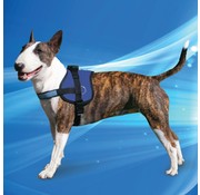 Aqua Coolkeeper Cooling Harness Pacific Blue