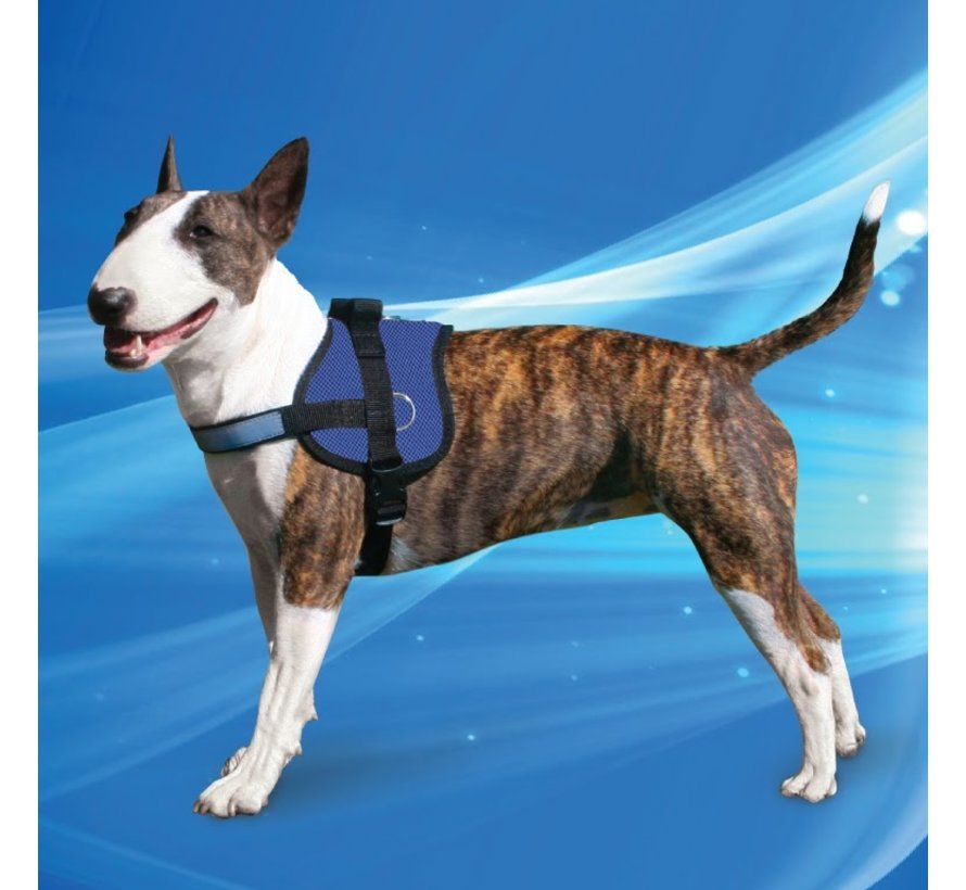 Cooling Harness Pacific Blue