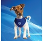 Cooling Harness Round Loop Pacific Blue
