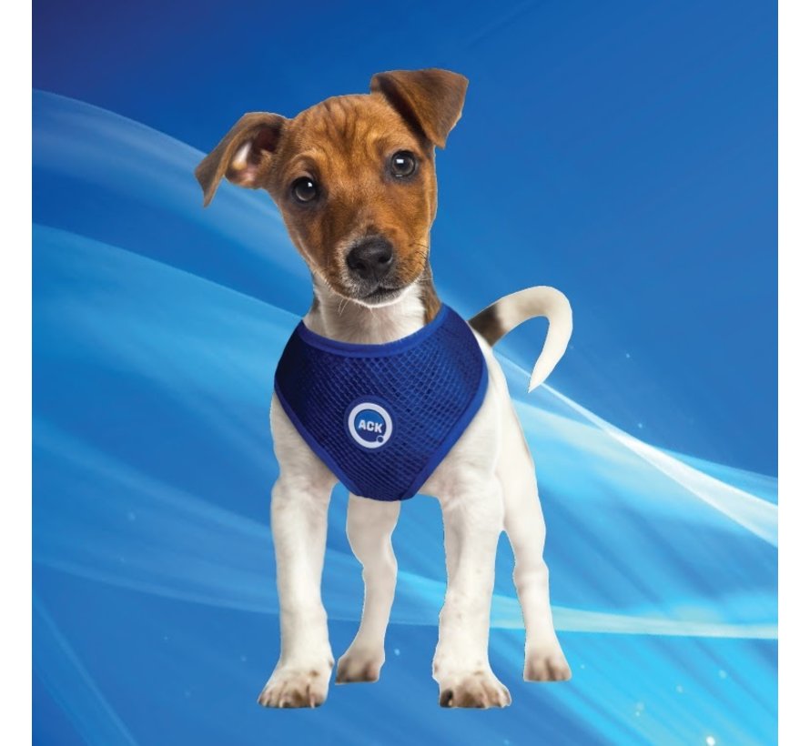Cooling Harness Round Loop Pacific Blue