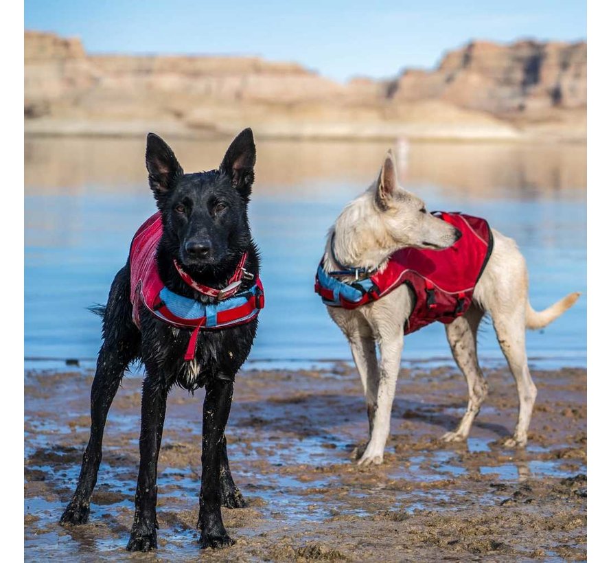 Dog life jacket Surf N Turf