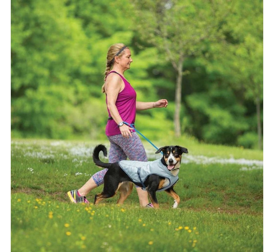 Cooling Vest Dog Core