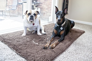 Soggy Doggy Door Mat Brown With Bone Petsonline