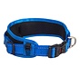 Dog Collar Utility Padded Blue