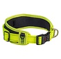 Dog Collar Utility Padded Yellow