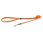 Dog Leash Fancy Dress Orange Doodle