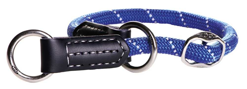 Training Halsband Hond Blauw