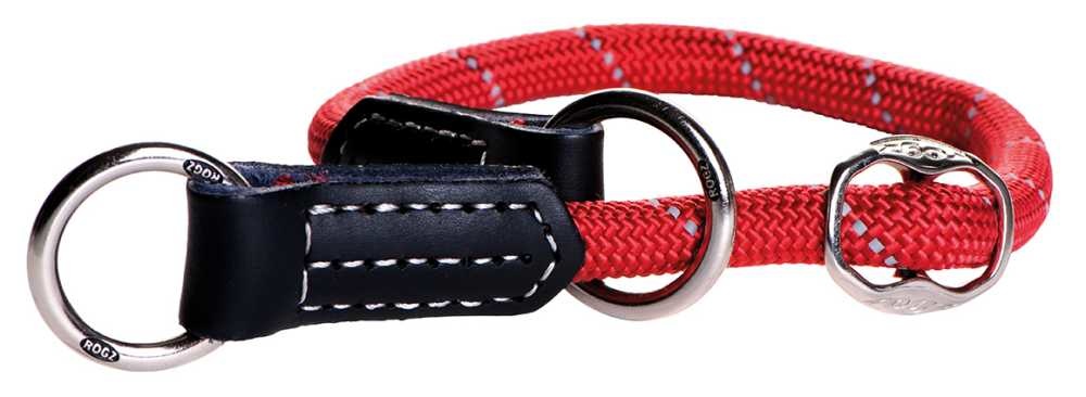 Training Halsband Hond Blauw Rood