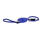 Dog Training Lead Blue