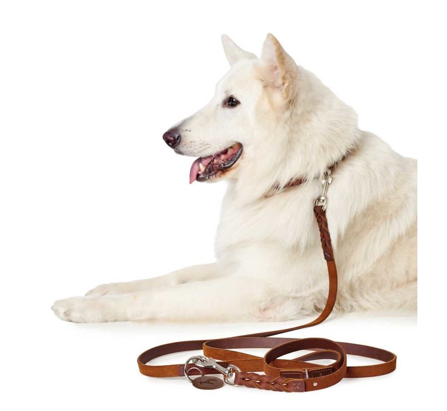 Dog Leash Solid Education Cognac