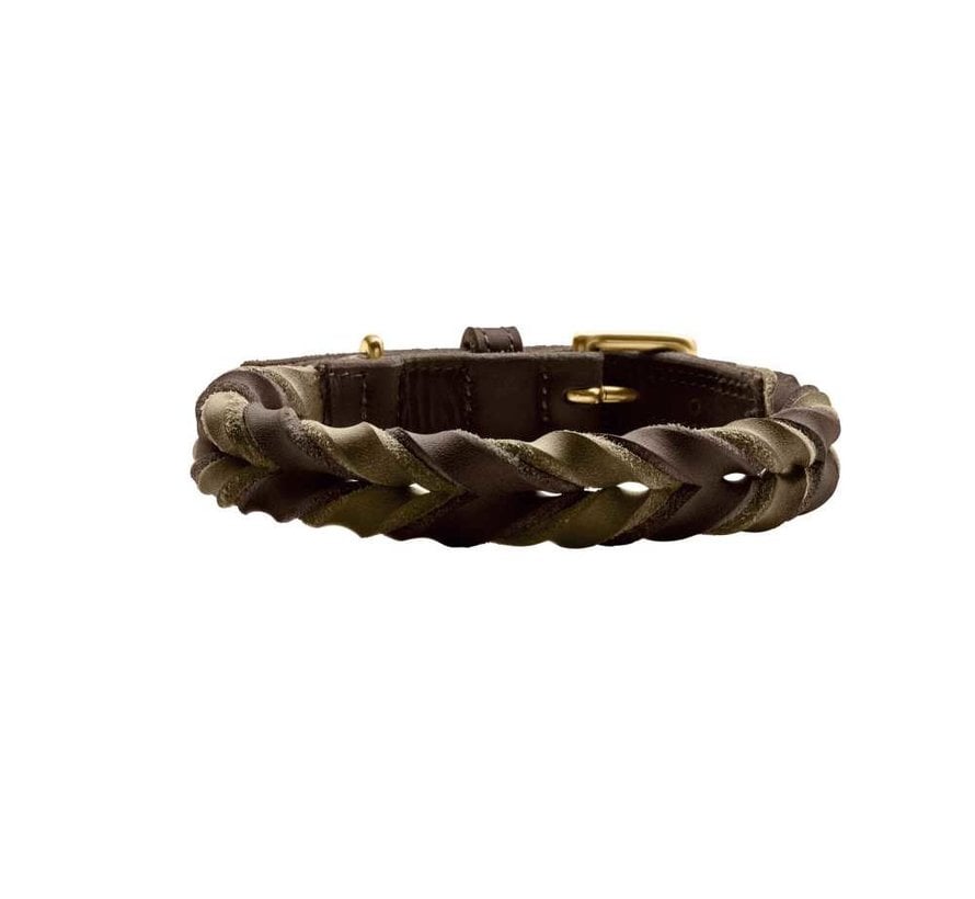 Dog Collar Solid Education Duo Brown