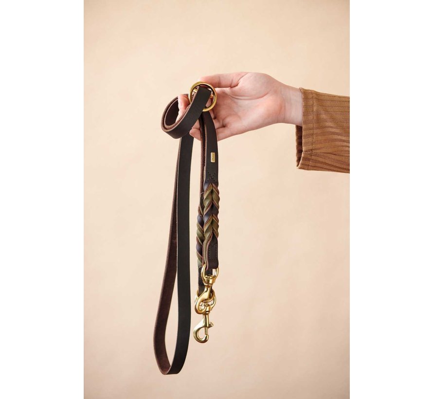 Adjustable Dog Leash Solid Education Duo Brown