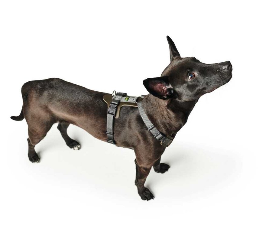 Dog Harness Aalborg Mixed Olive