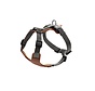 Dog Harness Aalborg Mixed Cognac