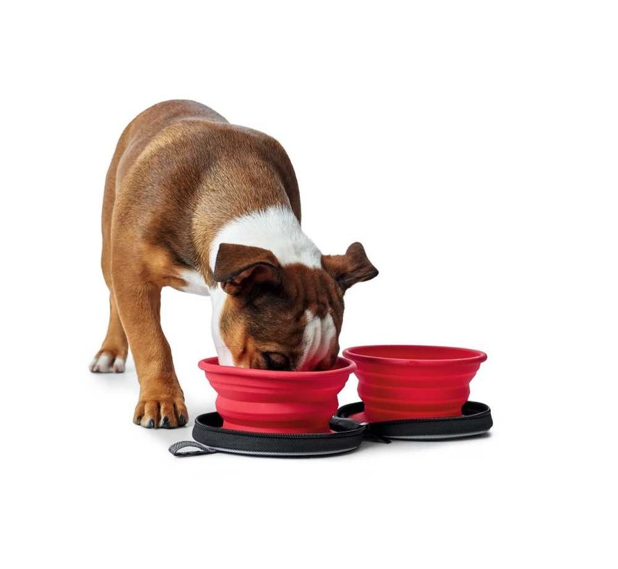 Foldable Red Feeding Bowl List with Storage Bag