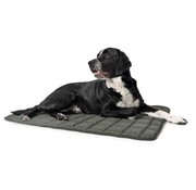 Hunter Dog Blanket Hamilton