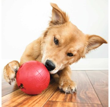 Kong Hondenspeelgoed Biscuit Ball