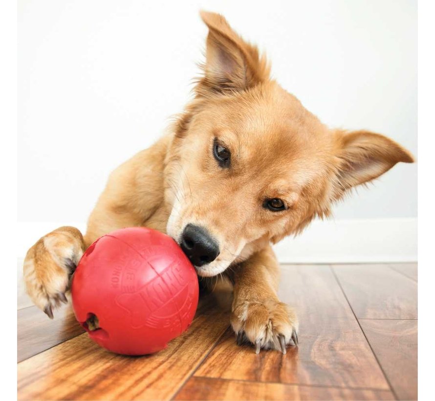 Dog Toy Biscuit Ball
