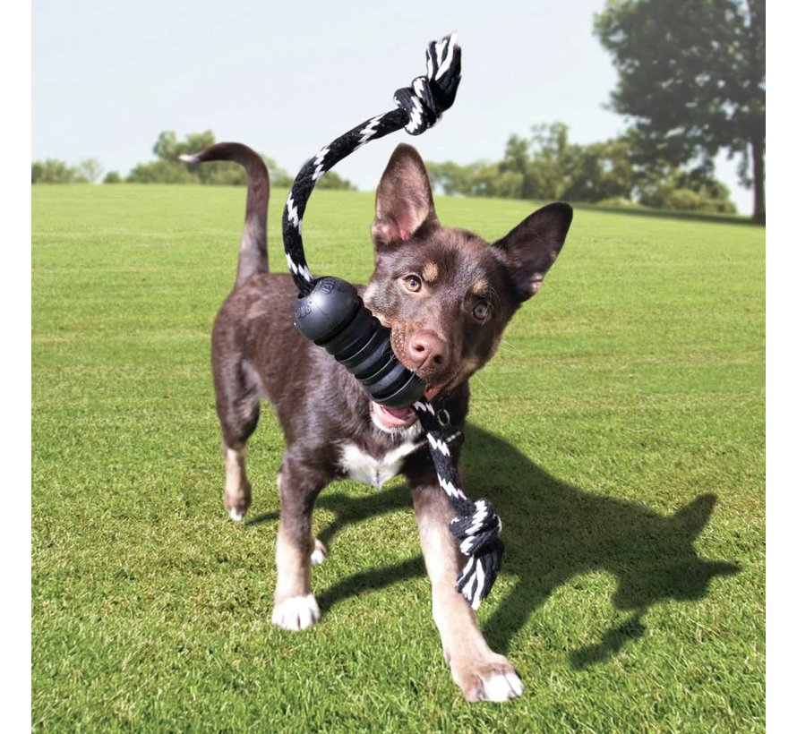 Dog toy Extreme Dental with rope