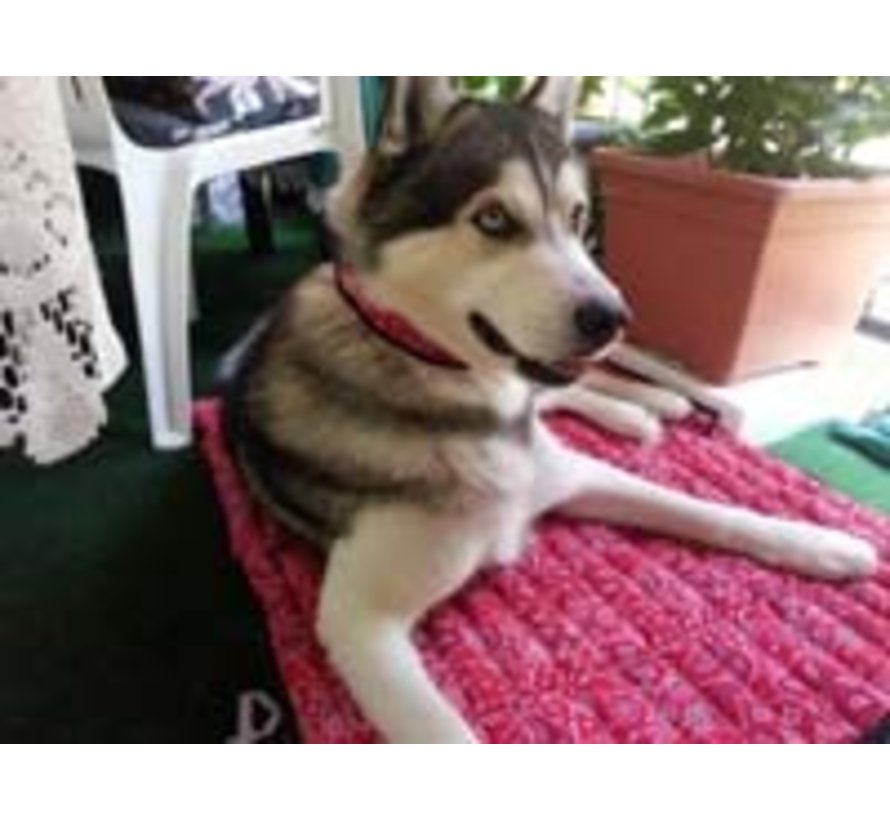 Cooling Mat Red Western