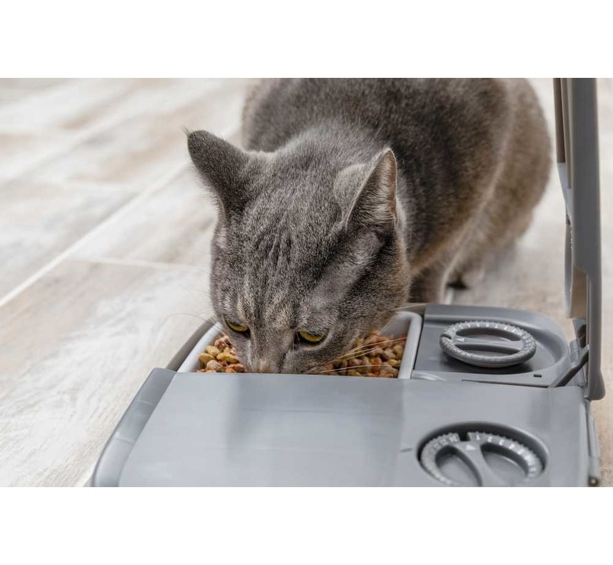 Automatic 2 Meal Pet Feeder