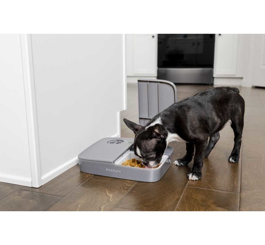 Eatwell Double Feeder