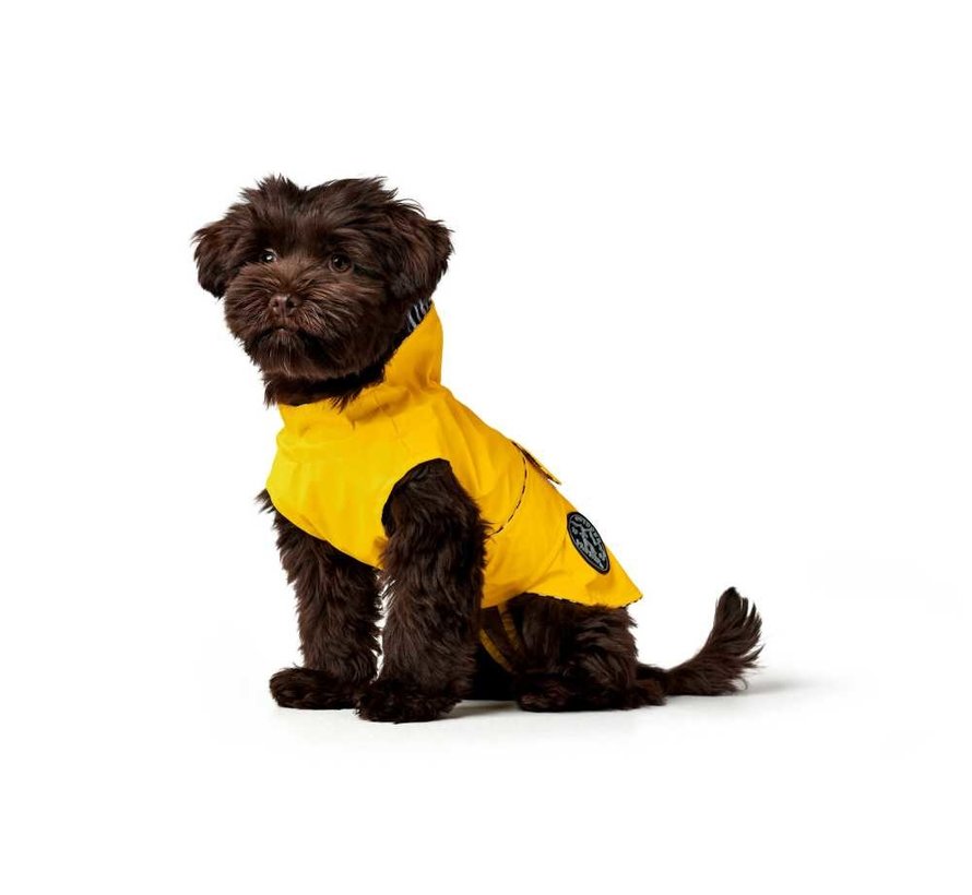 Raincoat Dog Milford Yellow