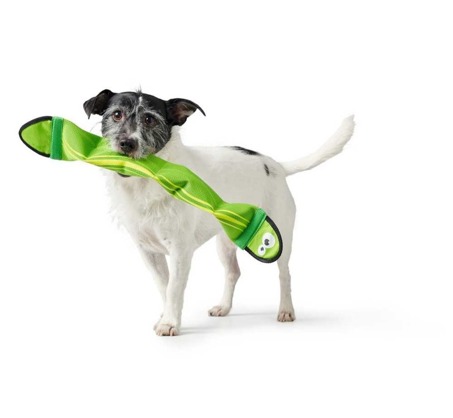 Dog Toy Aqua Mindelo