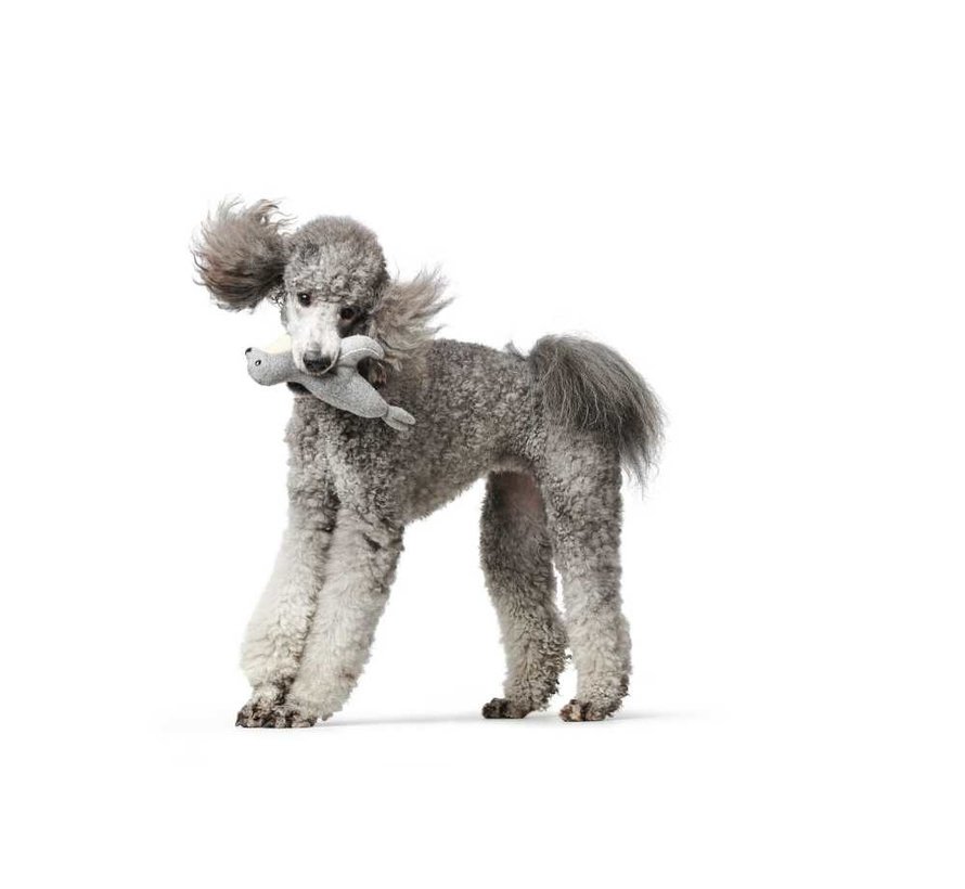 Dog Toy Skagen