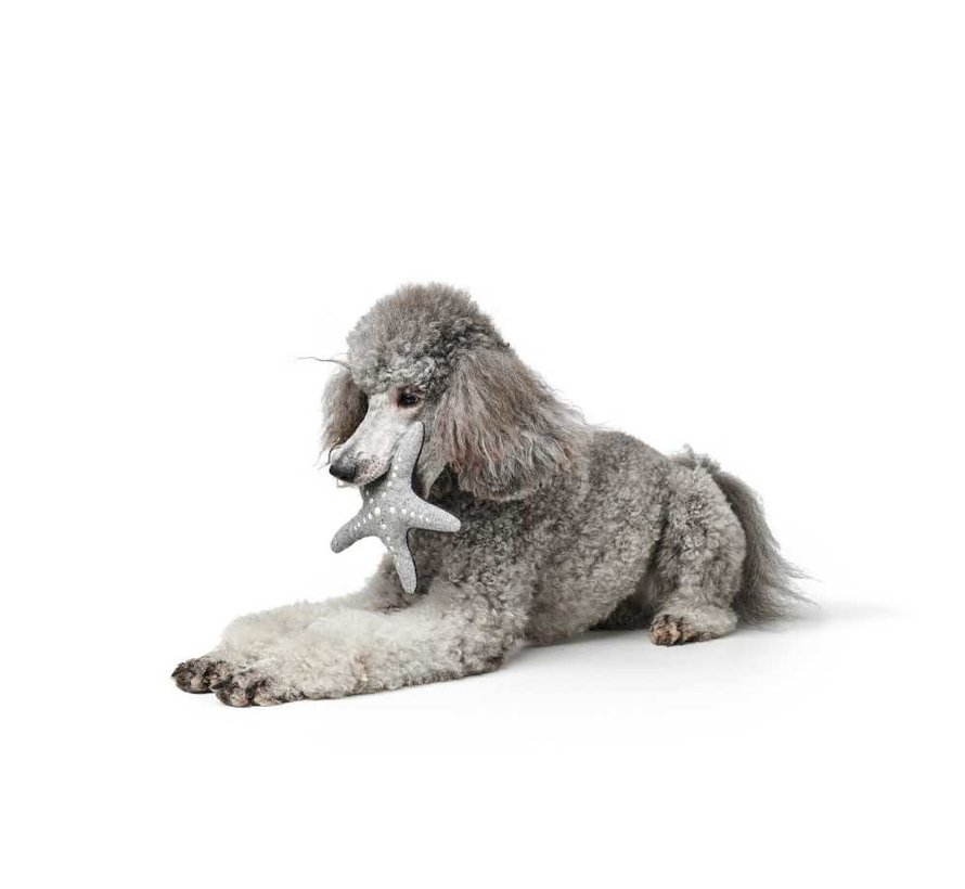 Dog Toy Skagen