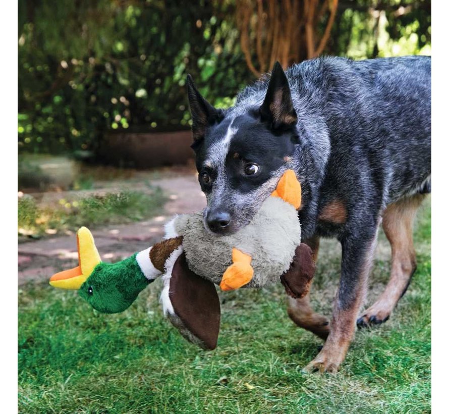 Dog Toy Shakers Honkers