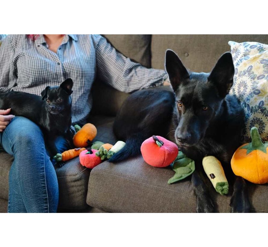 Dog toy Garden Fresh - Zucchini