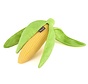 Dog Toy Farm Fresh - Corn