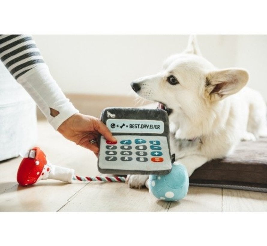 Dog Toy Back To School - Calculator