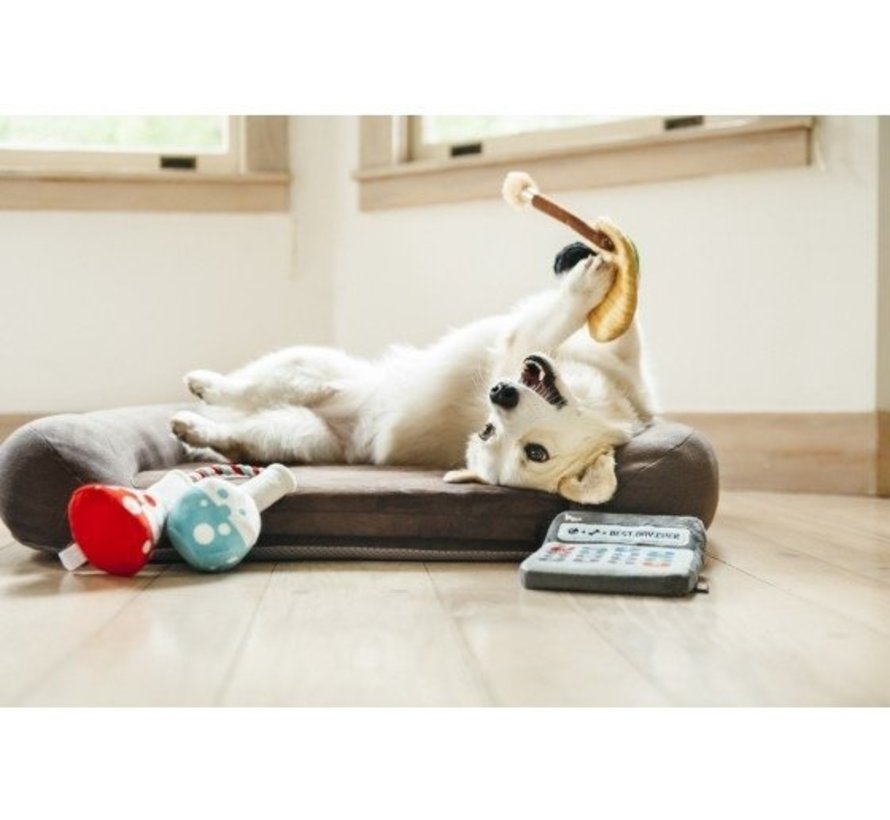 Dog Toy Back To School - Calculator