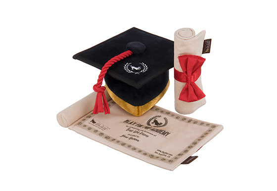Hondenspeelgoed Back to School - Graduation Hat & Scroll