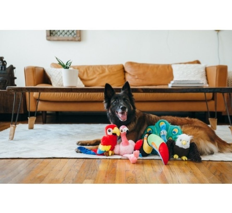 Dog Toy Fetching Flock - Toucan