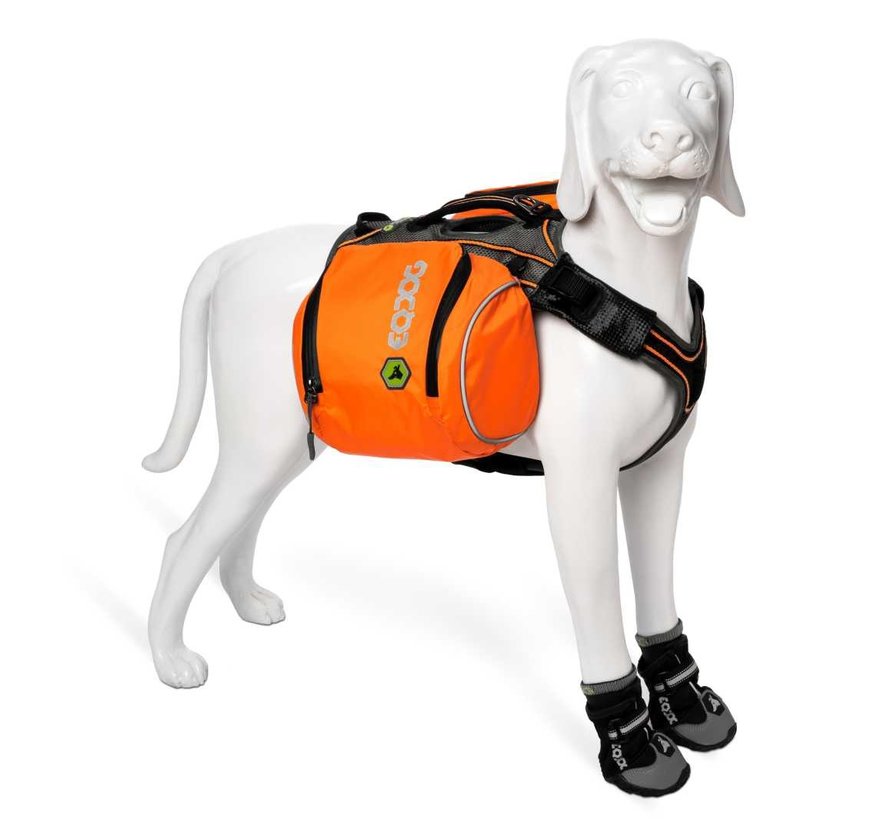Dog Harness Pro Harness Orange