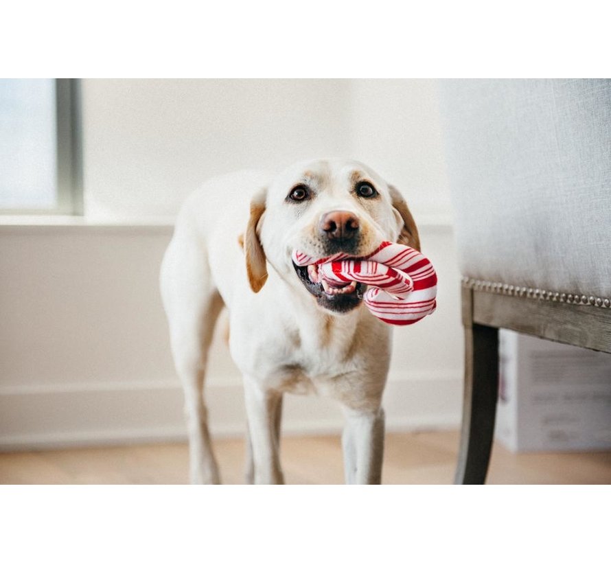 Dog Toy Holiday Classic - Candy Canes