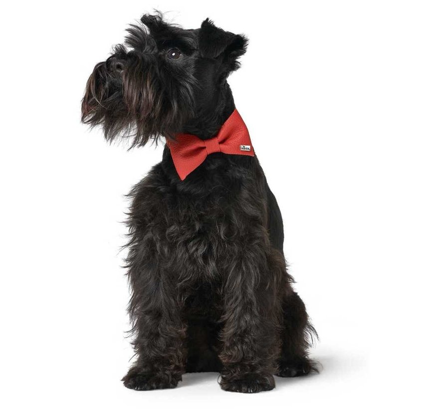 Dog Bow Tie Paris Red