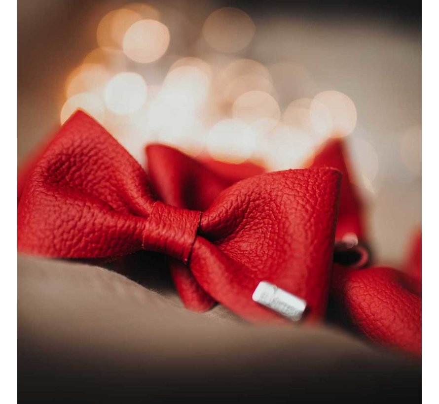 Dog Bow Tie Paris Red