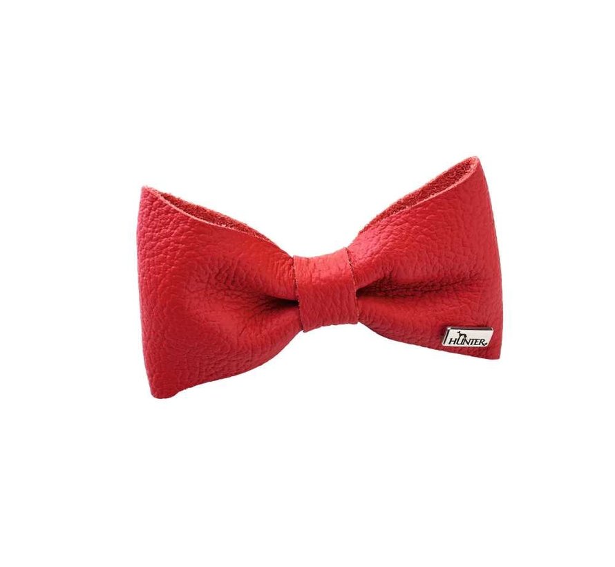 Dog Bow Tie Paris Red