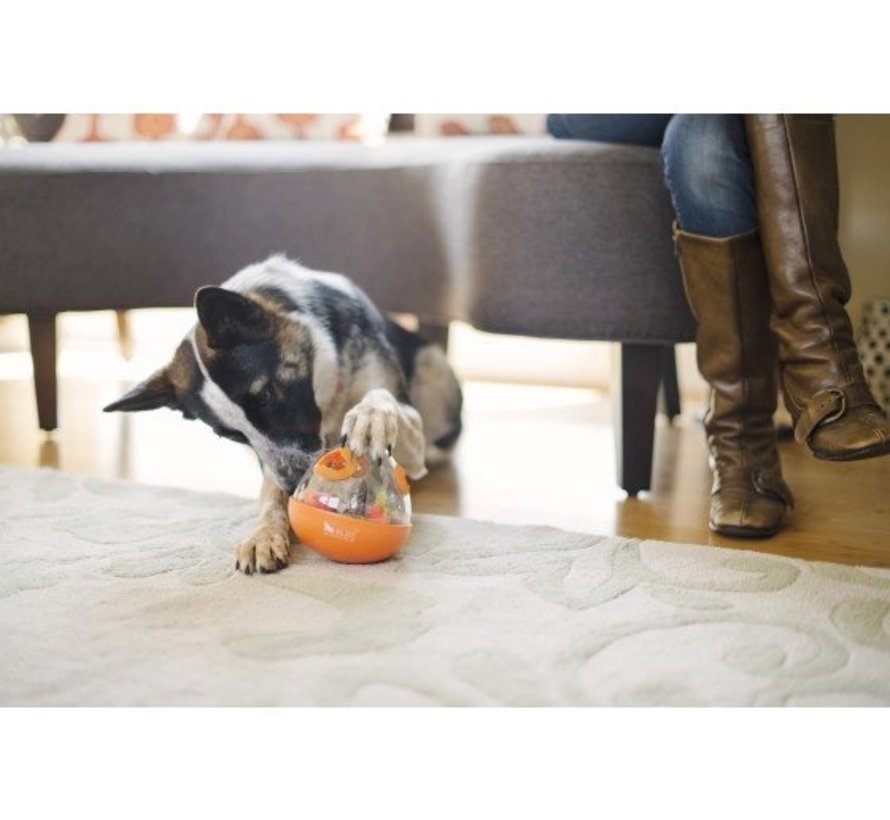 Dog Toy Wobble Ball Orange